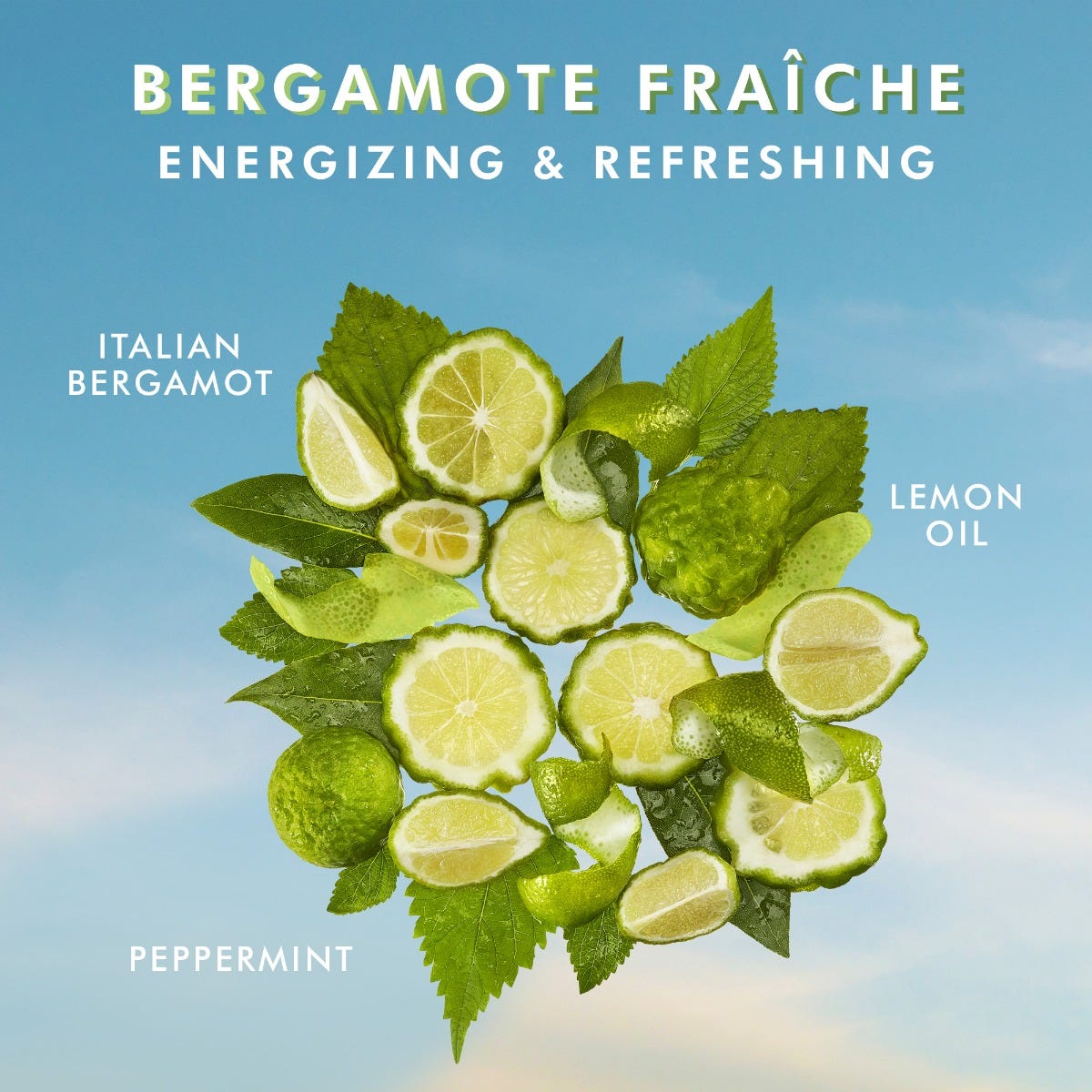 Gel Douche Bergamote Fraîche